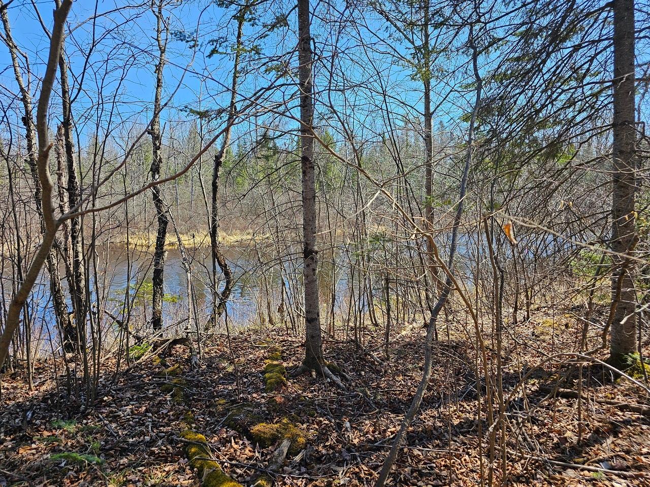 Lot 9 Weber Lake Road Mercer, WI 54547 - Photo 8 of 15 Gallery Image 8