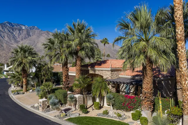 a view of a potted plants on a yard