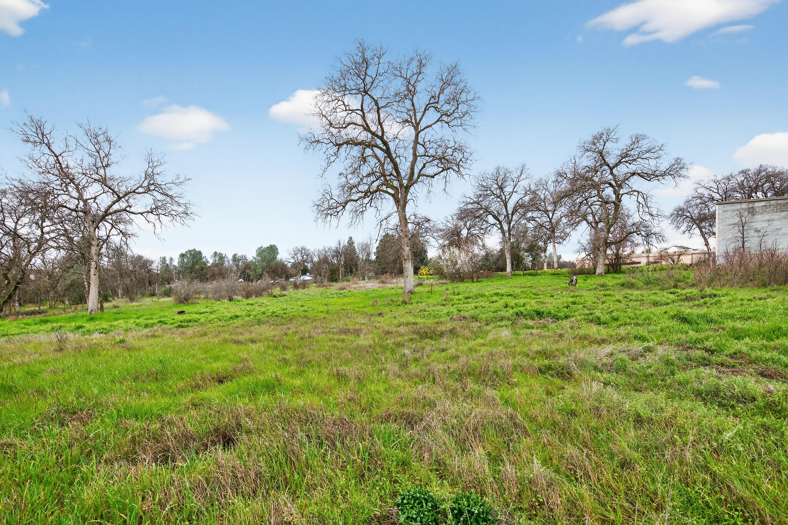 2681 Hartnell Avenue Redding, CA 96002 - Photo 13 of 13 _DSC0781
