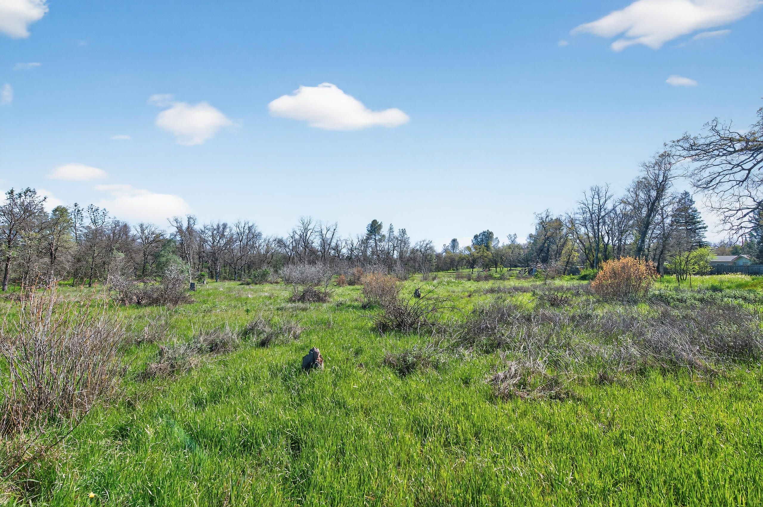 2681 Hartnell Avenue Redding, CA 96002 - Photo 7 of 13 _DSC1044