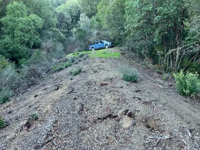 a backyard of a house with a yard and entertaining space