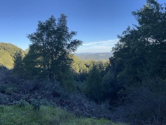 0 Redwood Retreat Road Watsonville, CA 95076 - Photo 6 of 9