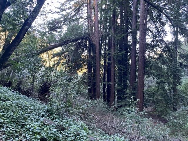 0 Redwood Retreat Road Watsonville, CA 95076 - Photo 7 of 9 a backyard of a house with lots of green space