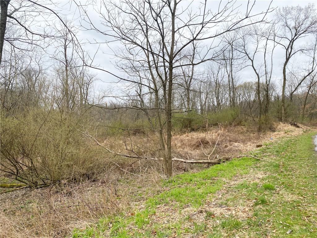 0 Singleton Road Sarver, PA 16055 - Photo 3 of 10 a backyard of a house with lots of green space