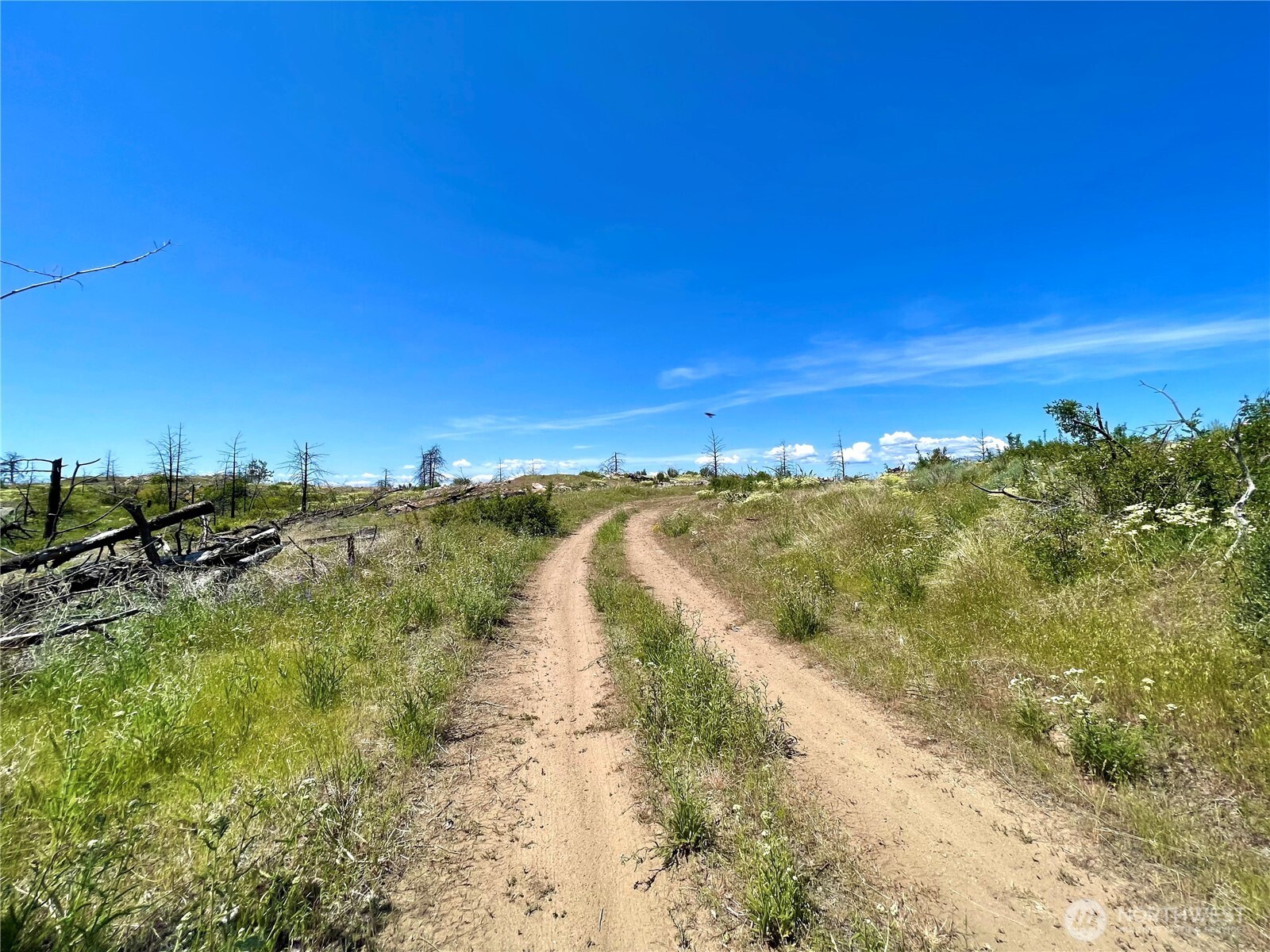 -tbd Tbd Madd Mtn Road Okanogan, WA 98840 - Photo 2 of 7 a view of an ocean