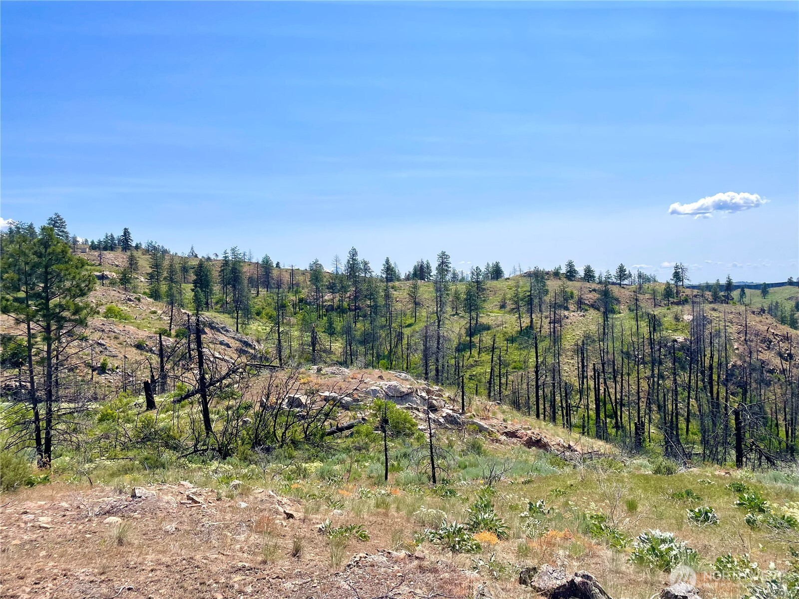 -tbd Tbd Madd Mtn Road Okanogan, WA 98840 - Photo 3 of 7 a view of a lake with a yard