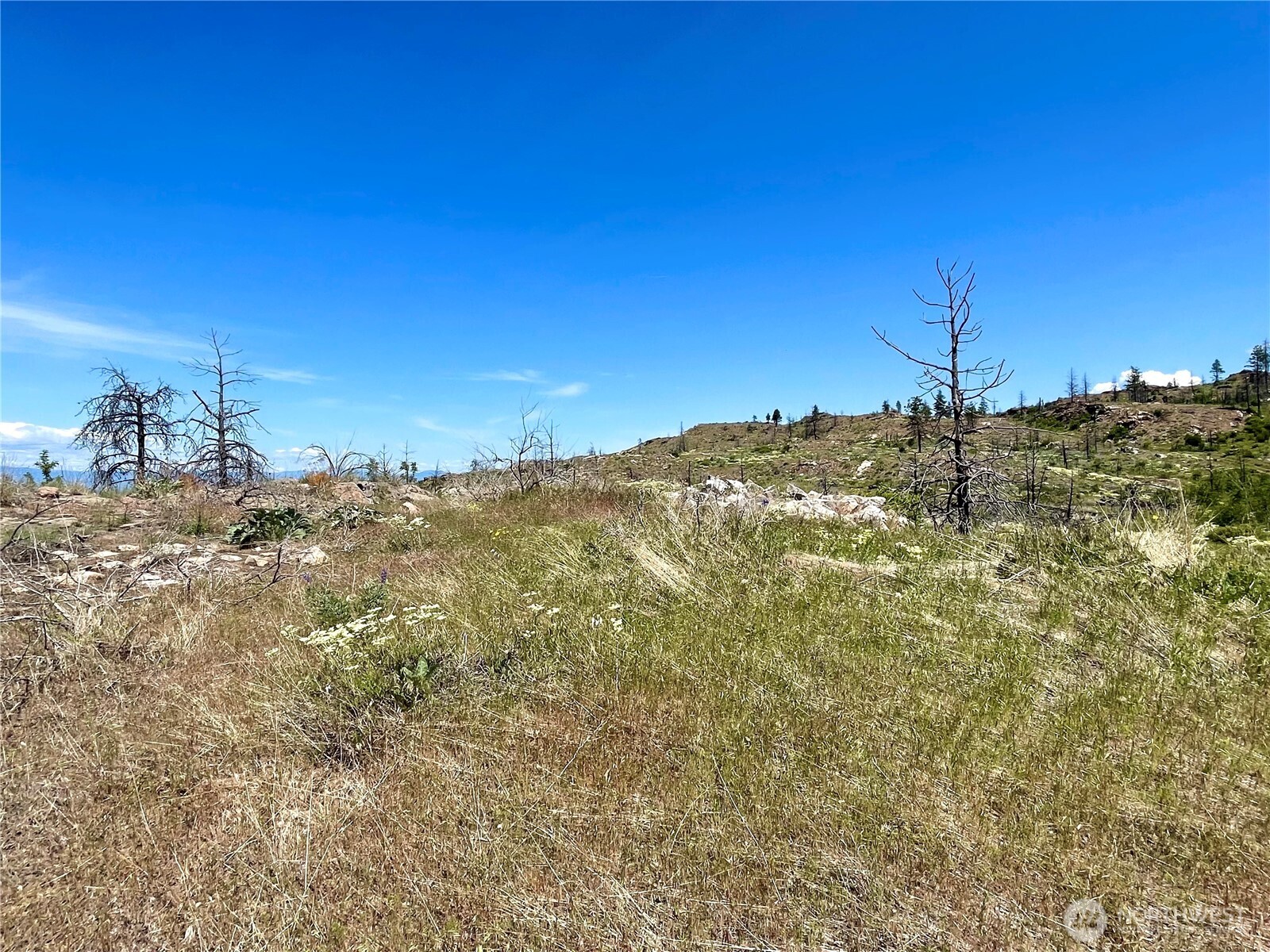 -tbd Tbd Madd Mtn Road Okanogan, WA 98840 - Photo 4 of 7 a view of a field