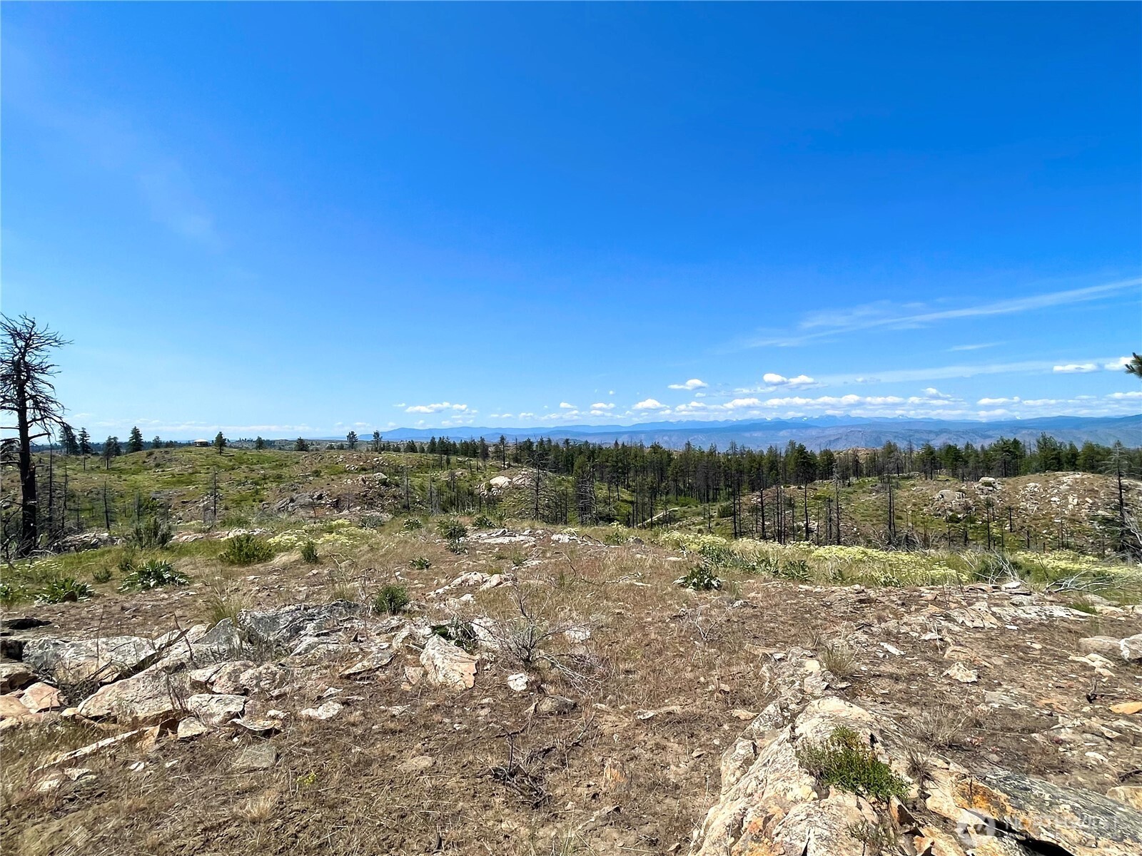 -tbd Tbd Madd Mtn Road Okanogan, WA 98840 - Photo 5 of 7 a view of an outdoor space with mountain view