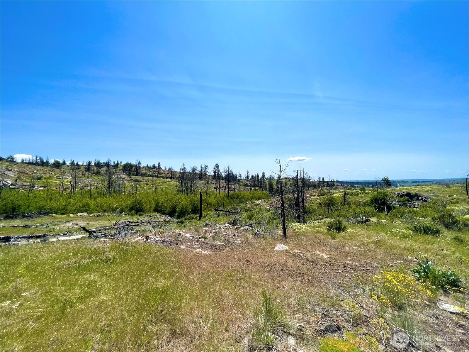 -tbd Tbd Madd Mtn Road Okanogan, WA 98840 - Photo 6 of 7 a view of a pathway with a lake