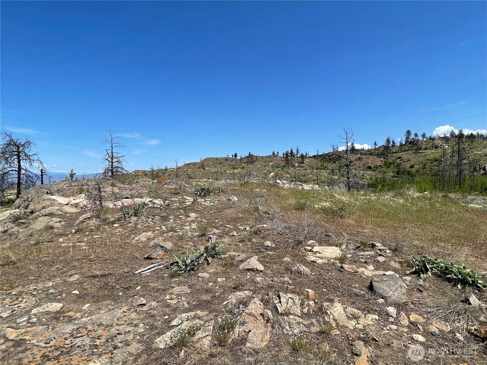 -tbd Tbd Madd Mtn Road Okanogan, WA 98840 - Photo 7 of 7 a view of a building with mountain view