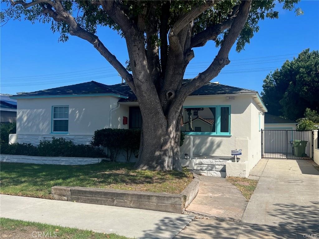 a view of a house with backyard and a tree