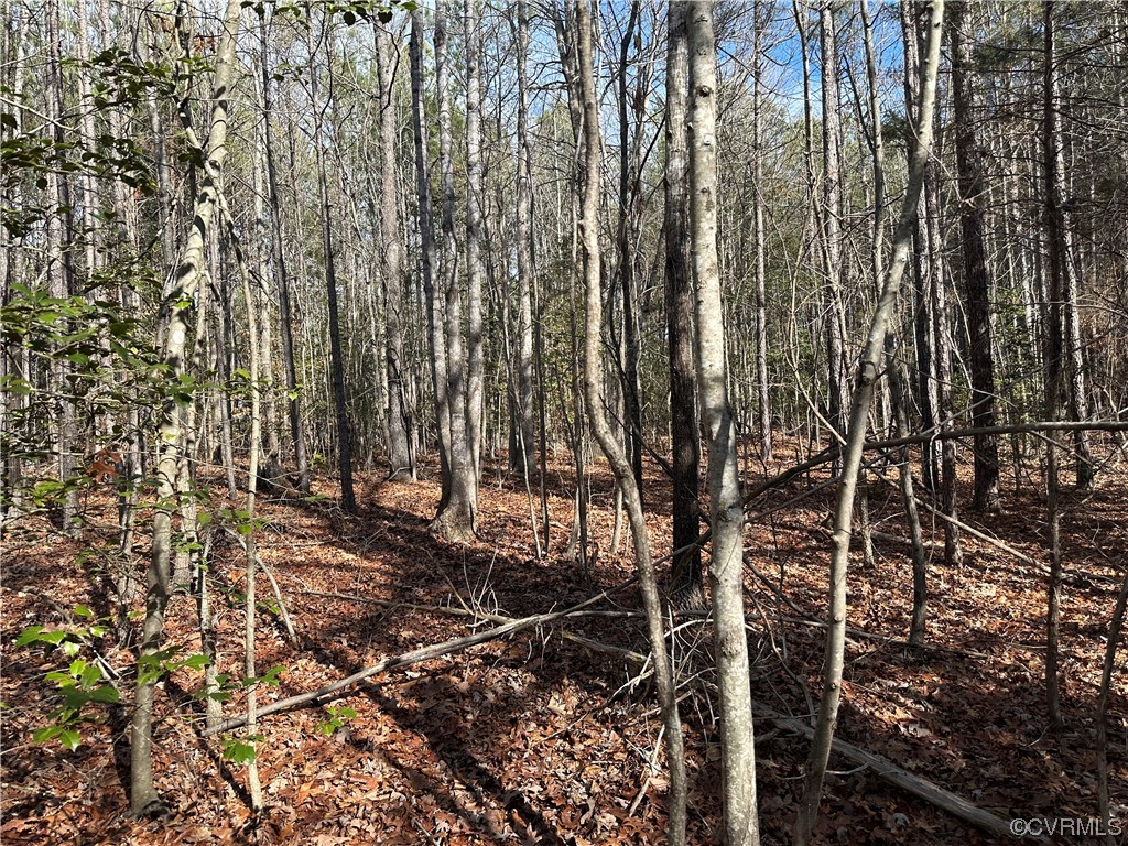 0 Mill Quarter Road Ford, VA 23850 - Photo 1 of 1