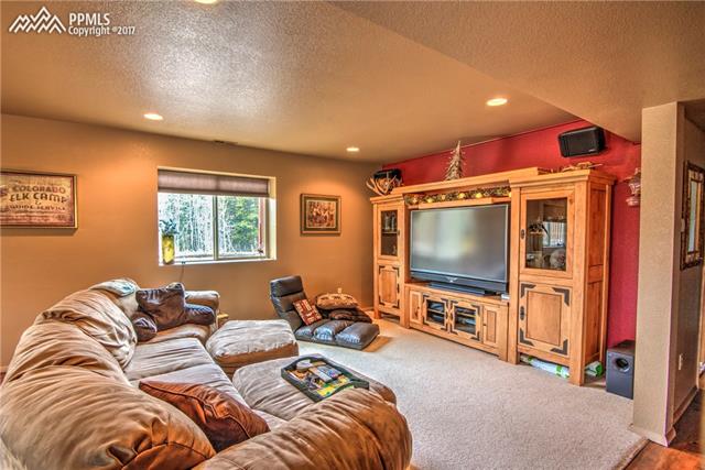 2874 Pathfinder Road Florissant, CO 80816 - Photo 24 of 36 Gallery Image 24