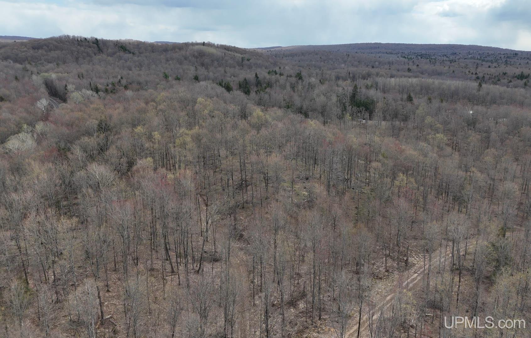 Tbdne Dog Patch Road Lanse, MI 49946 - Photo 9 of 23