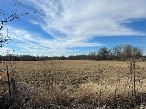 a view of a yard