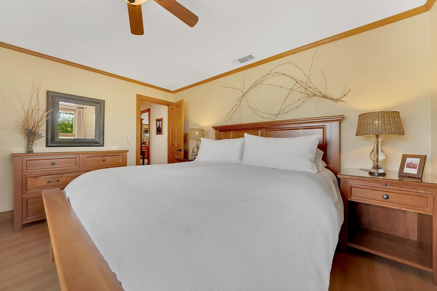 10801 Shenandoah Road Plymouth, CA 95669 - Photo 22 of 45 a bedroom with a bed and painting on the wall