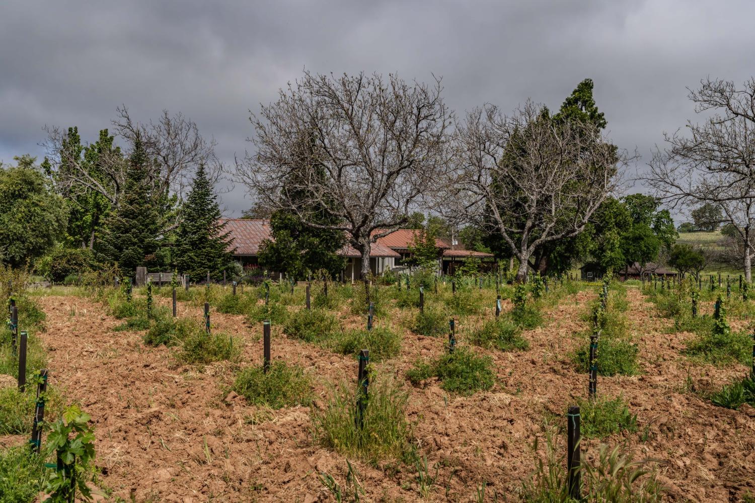 10801 Shenandoah Road Plymouth, CA 95669 - Photo 39 of 45 a view of lake with green space