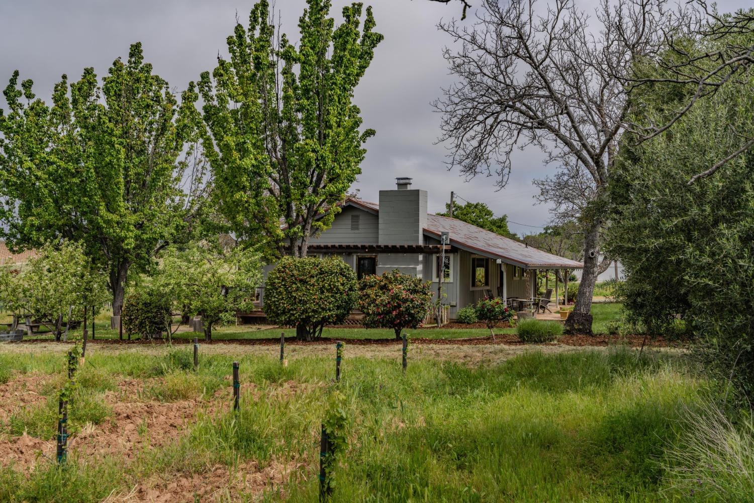10801 Shenandoah Road Plymouth, CA 95669 - Photo 40 of 45 a front view of a house with a yard