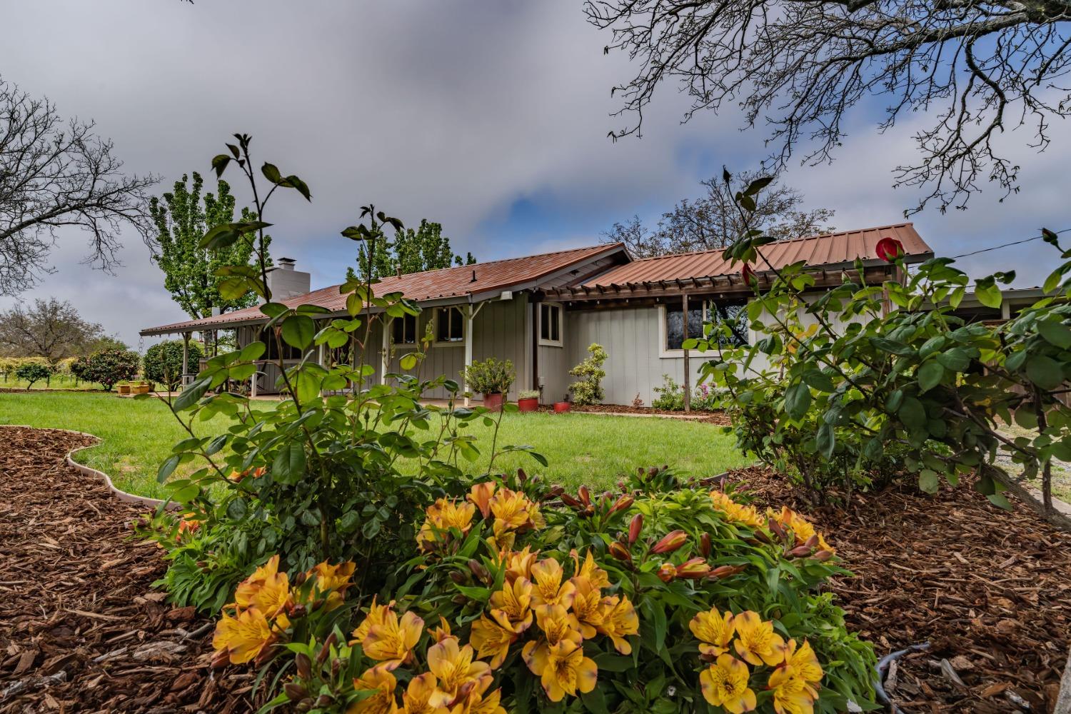 10801 Shenandoah Road Plymouth, CA 95669 - Photo 4 of 45 a front view of a house with a yard and garden