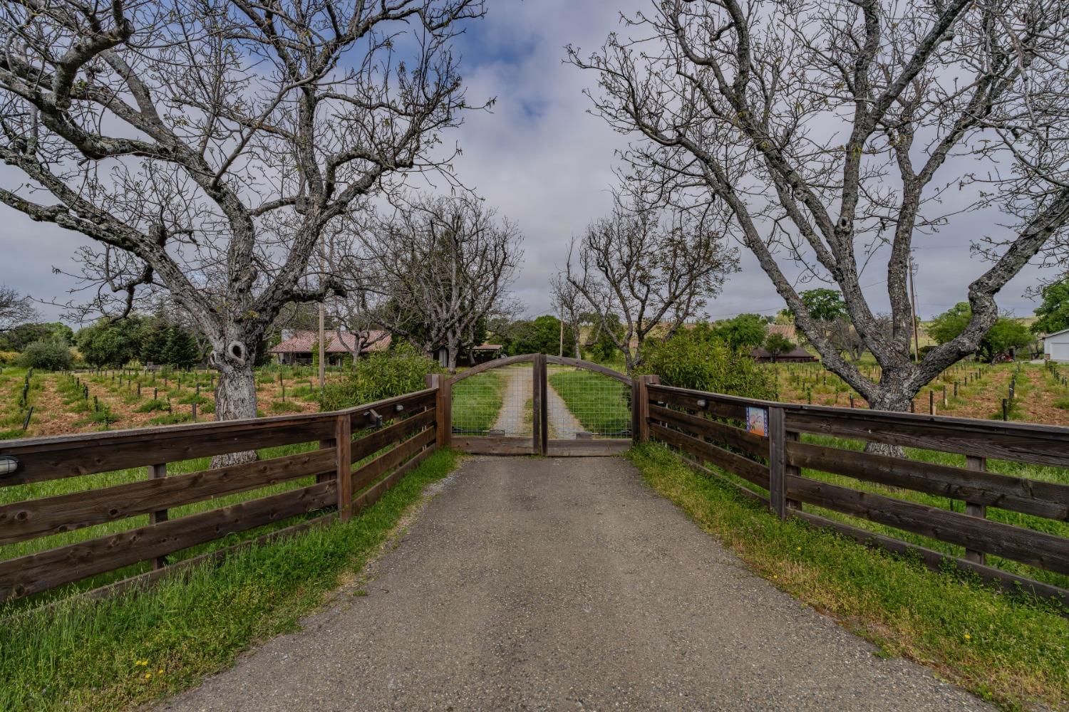 10801 Shenandoah Road Plymouth, CA 95669 - Photo 44 of 45 a view of outdoor space