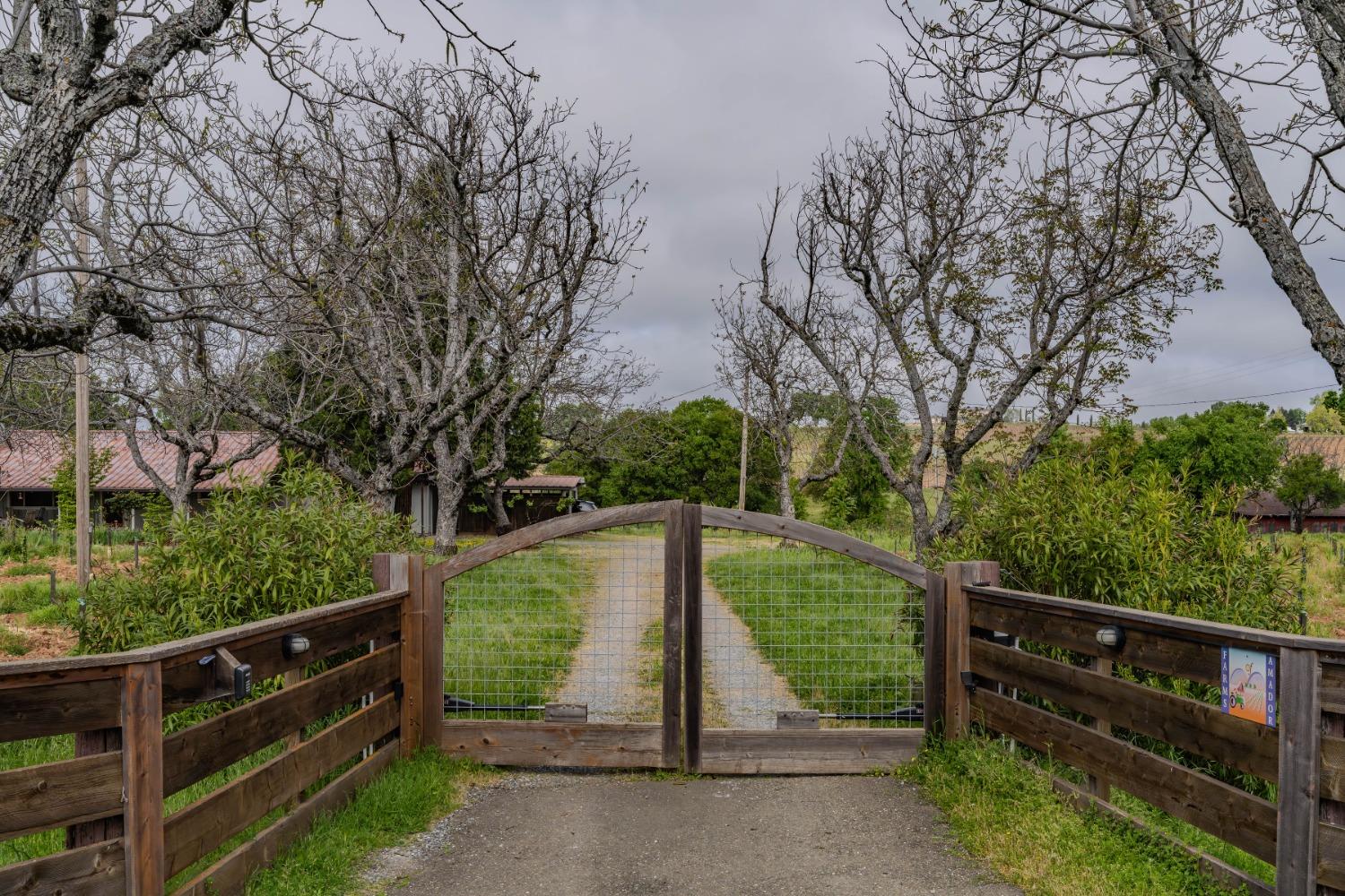 10801 Shenandoah Road Plymouth, CA 95669 - Photo 45 of 45 a view of outdoor space and deck