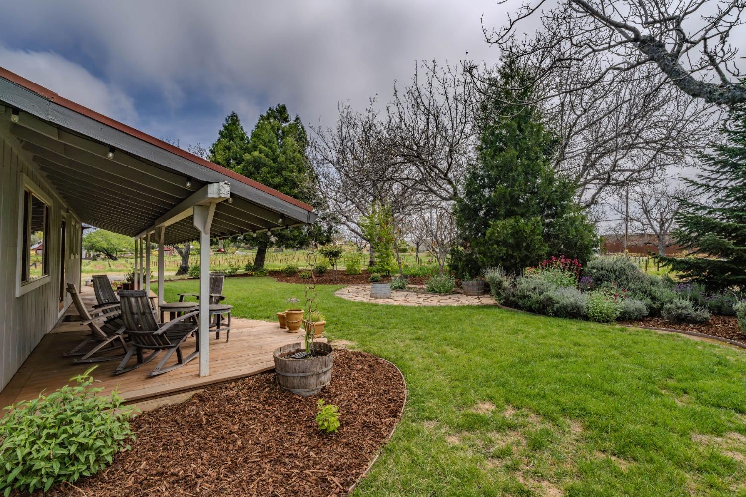 10801 Shenandoah Road Plymouth, CA 95669 - Photo 6 of 45 a view of a patio with table and chairs potted plants and large tree