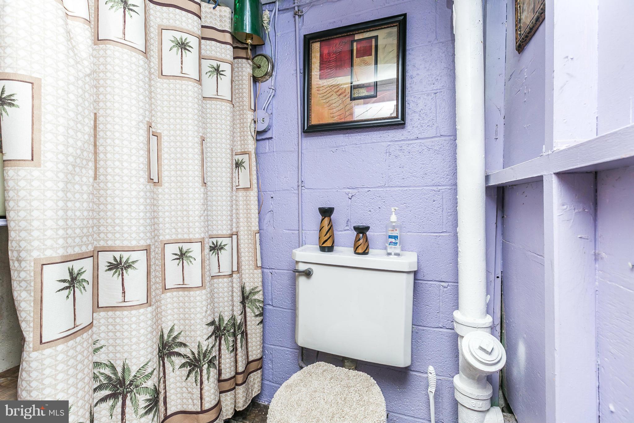 2129 Firethorn Road Baltimore, MD 21220 - Photo 22 of 30 Basement