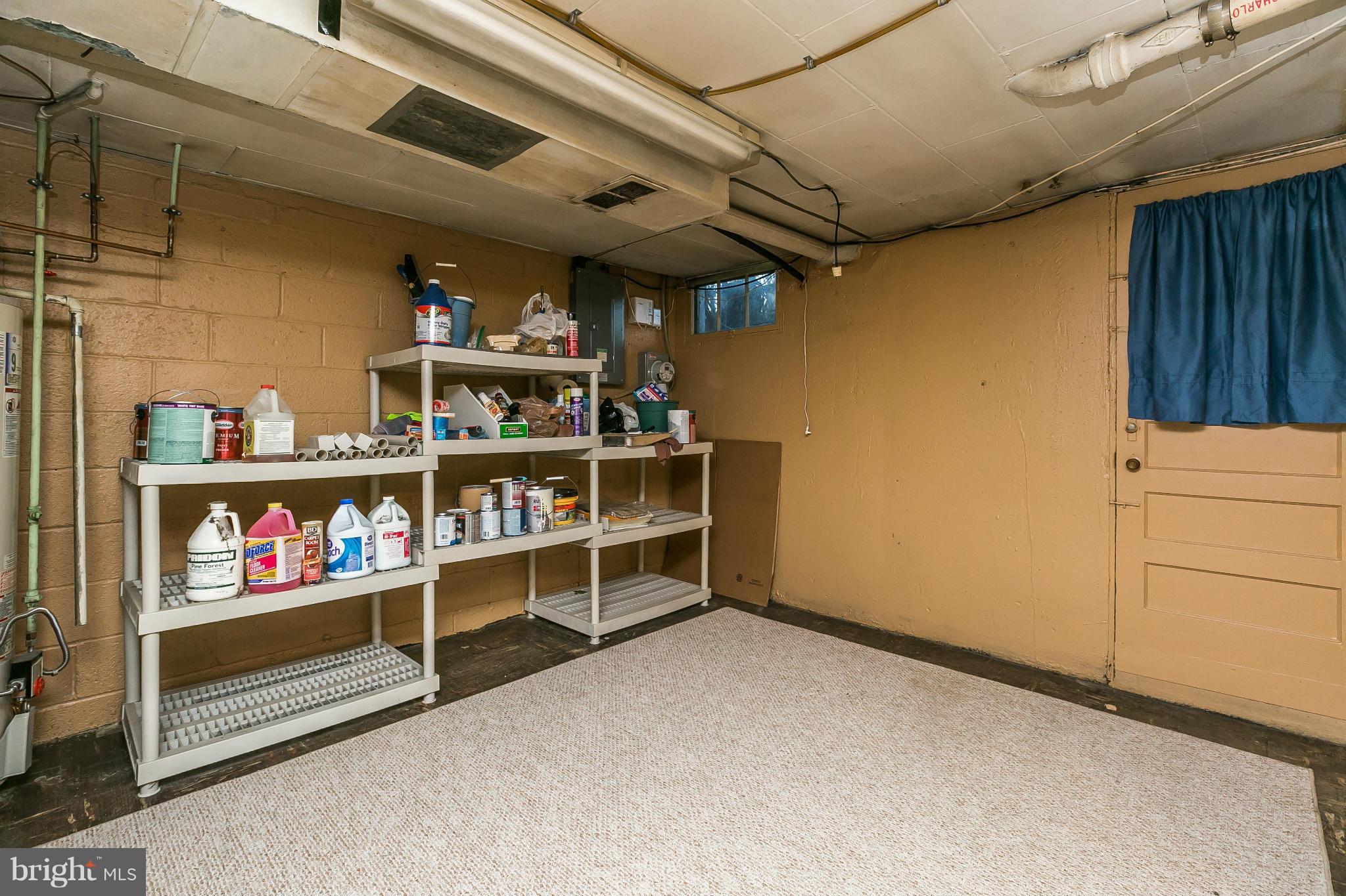 2129 Firethorn Road Baltimore, MD 21220 - Photo 24 of 30 Basement
