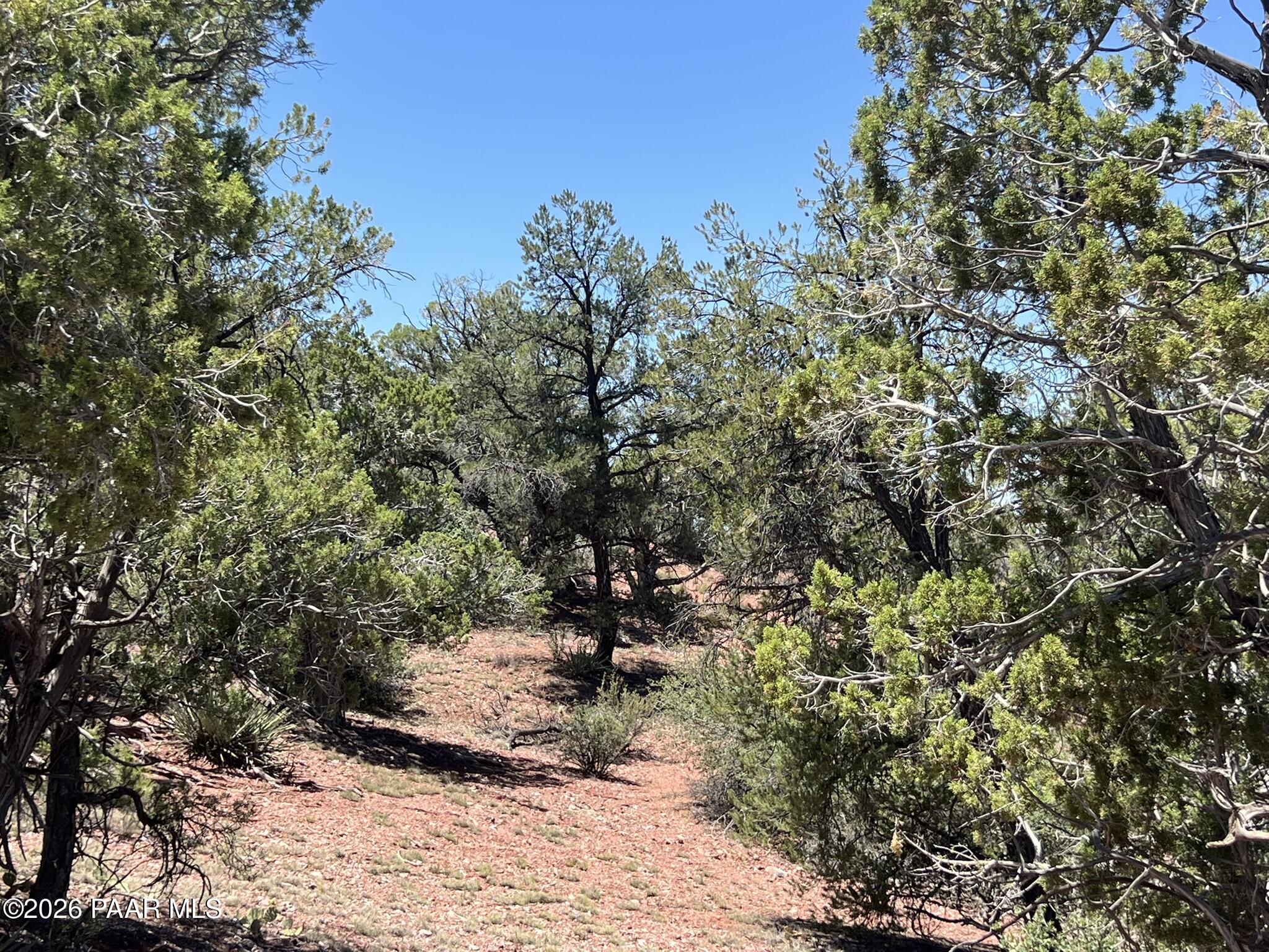 201 Cathedral Valley Road Ash Fork, AZ 86320 - Photo 1 of 9 IMG_0098