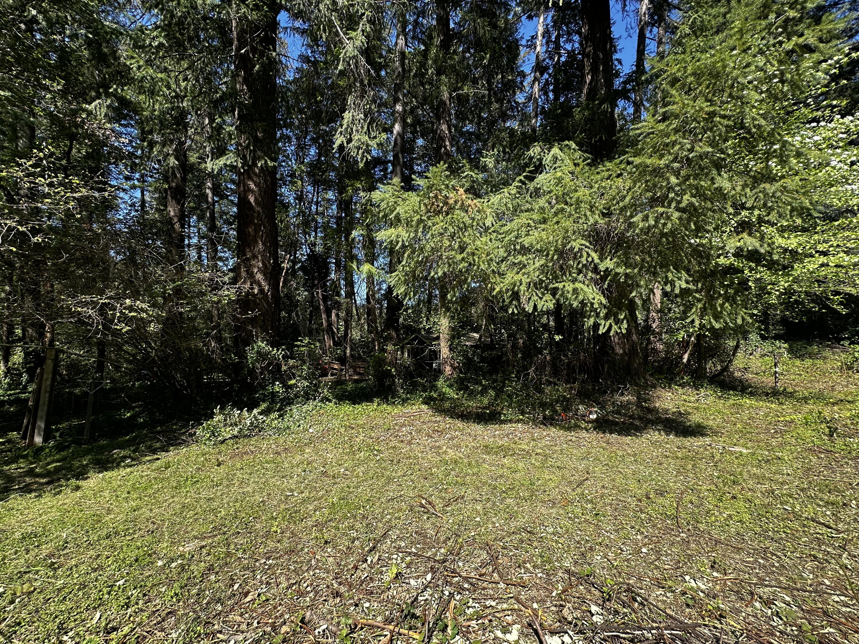 184 Racoon Lane Willow Creek, CA 95573 - Photo 16 of 27