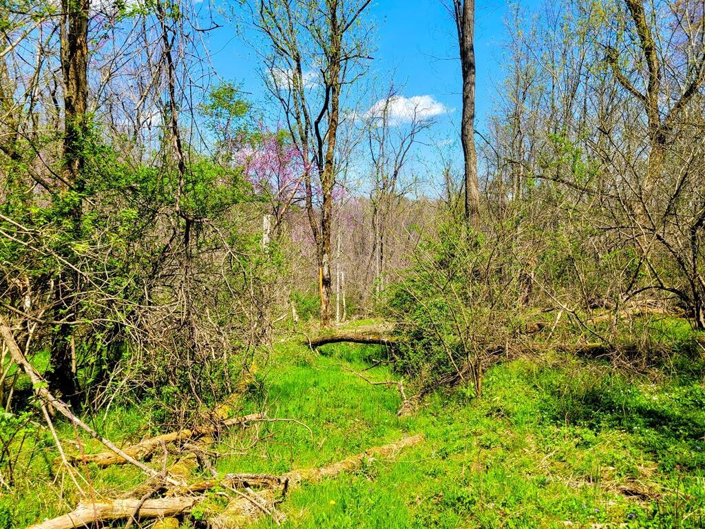 8670 Hoop Pole Road Roseville, OH 43777 - Photo 26 of 65 20220424_124358~2