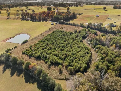 $125,000 | 0 Old Sink Church Road, Tellico Plains, TN 37385