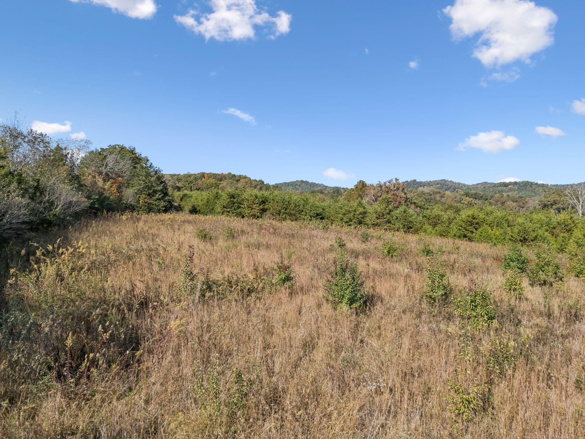 0 Old Sink Church Road Tellico Plains, TN 37385 - Photo 5 of 14 14-Cty Rd 731, TN 37385 - 012