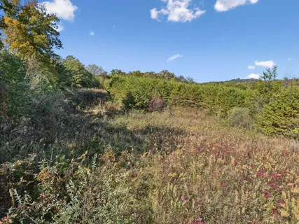 $125,000 | 0 Old Sink Church Road, Tellico Plains, TN 37385