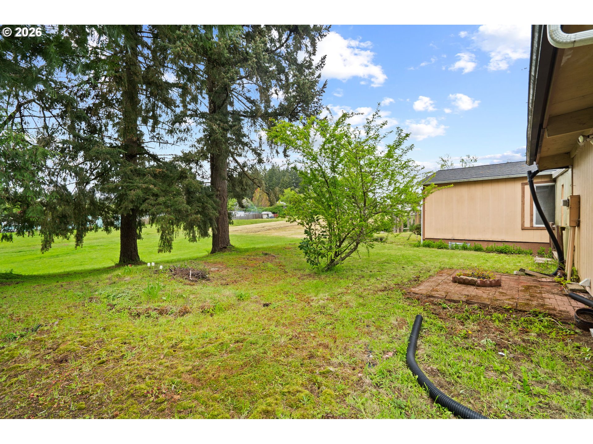 9175 Southwest Link Drive Cornelius, OR 97113 - Photo 25 of 30 a view of a yard with a tree