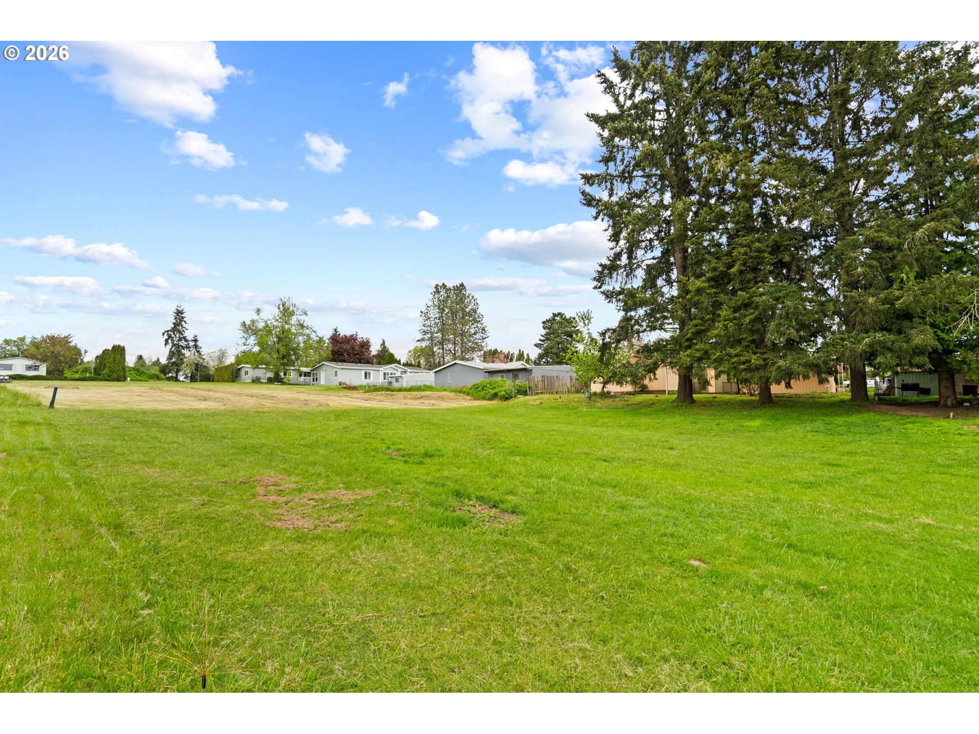 9175 Southwest Link Drive Cornelius, OR 97113 - Photo 29 of 30 a view of yard with outdoor space and trees