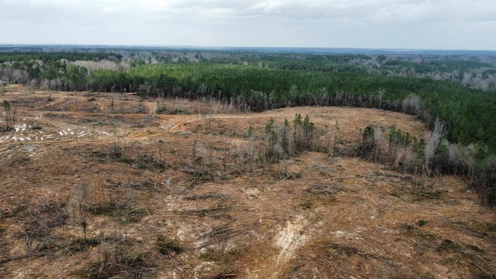 6 Anse Reed Road Mendenhall, MS 39114 - Photo 1 of 7 Main View