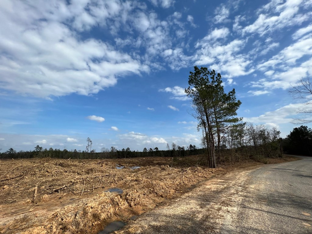 6 Anse Reed Road Mendenhall, MS 39114 - Photo 4 of 7 Photo 4