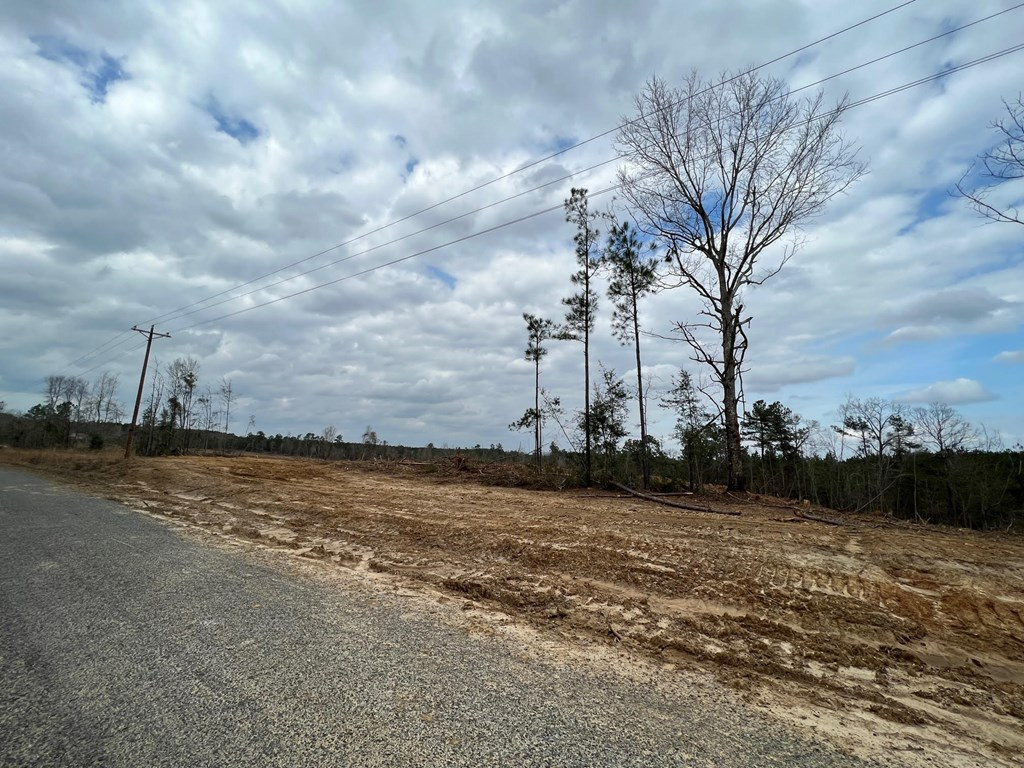 6 Anse Reed Road Mendenhall, MS 39114 - Photo 6 of 7 Photo 6