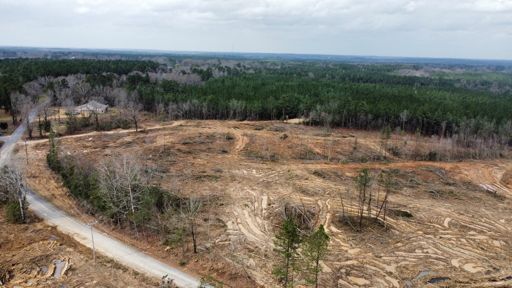 6 Anse Reed Road Mendenhall, MS 39114 - Photo 7 of 7 Photo 7
