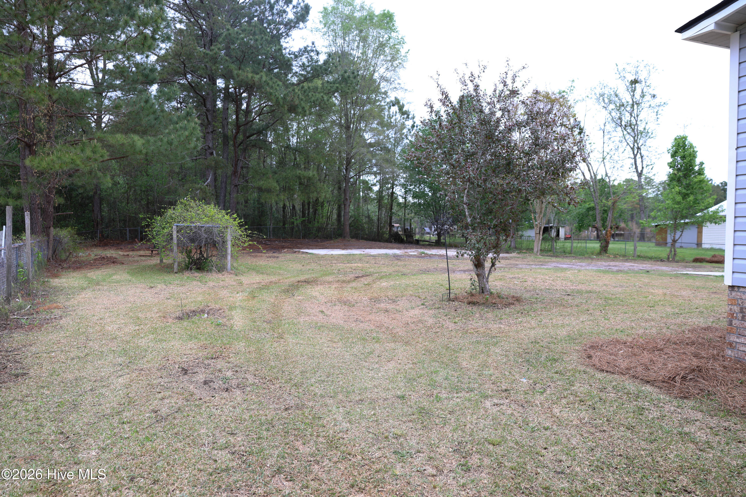 590 Luther Banks Road Richlands, NC 28574 - Photo 16 of 17 scholar-157