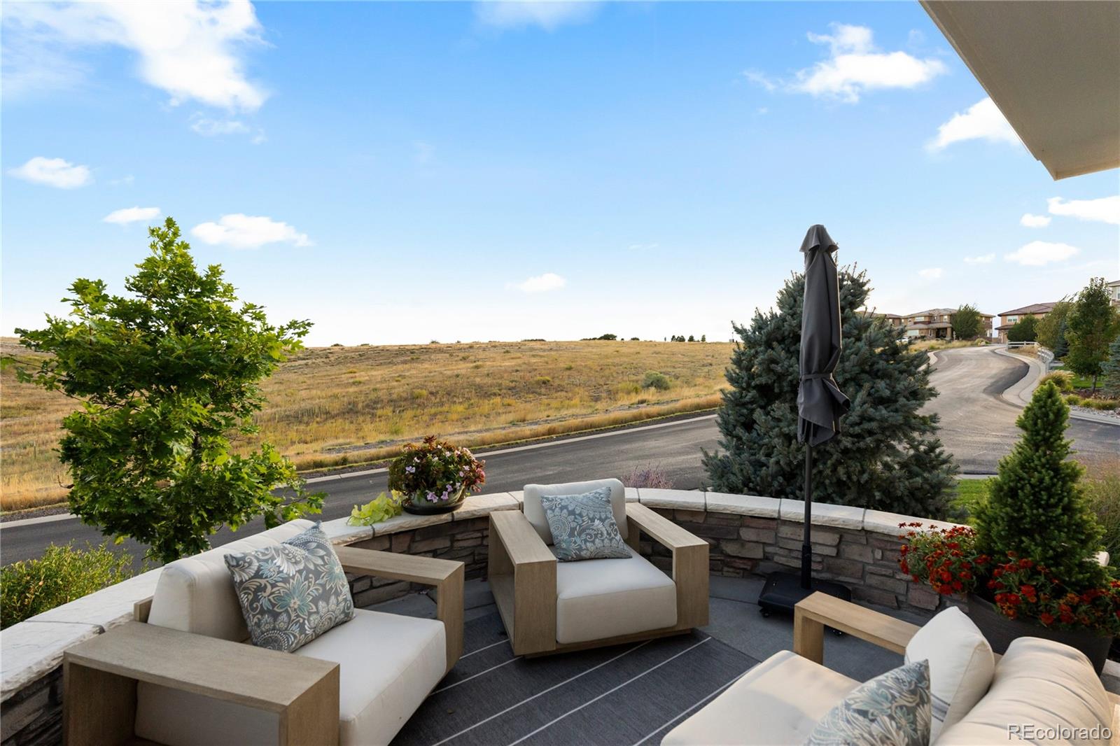 10872 Greycliffe Way Highlands Ranch, CO 80126 - Photo 2 of 32