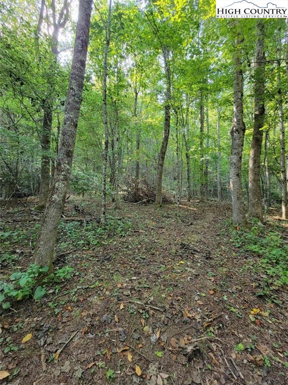 0 Worley Road Banner Elk, NC 28604 - Photo 12 of 21 Gallery Image 12