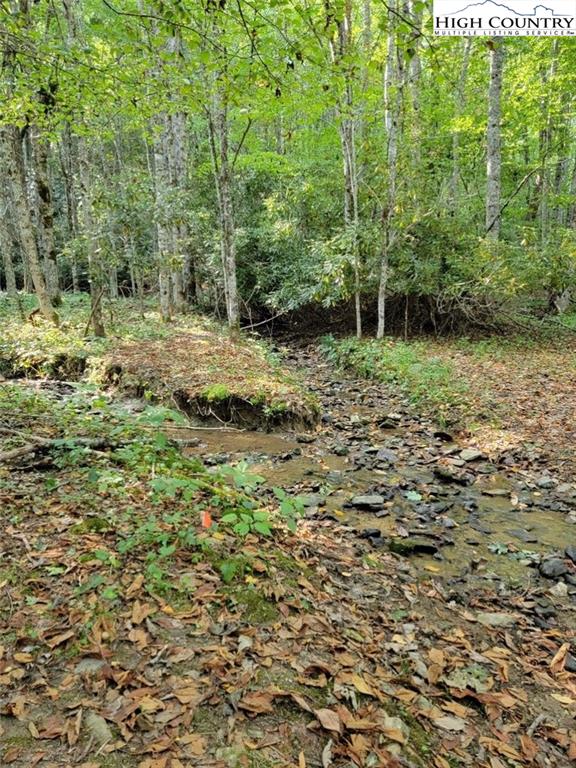 0 Worley Road Banner Elk, NC 28604 - Photo 16 of 21 Gallery Image 16