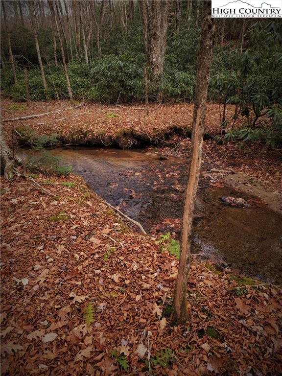 0 Worley Road Banner Elk, NC 28604 - Photo 2 of 21 Gallery Image 2