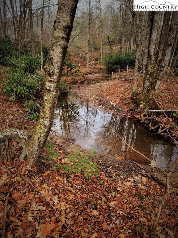 0 Worley Road Banner Elk, NC 28604 - Photo 3 of 21 Gallery Image 3