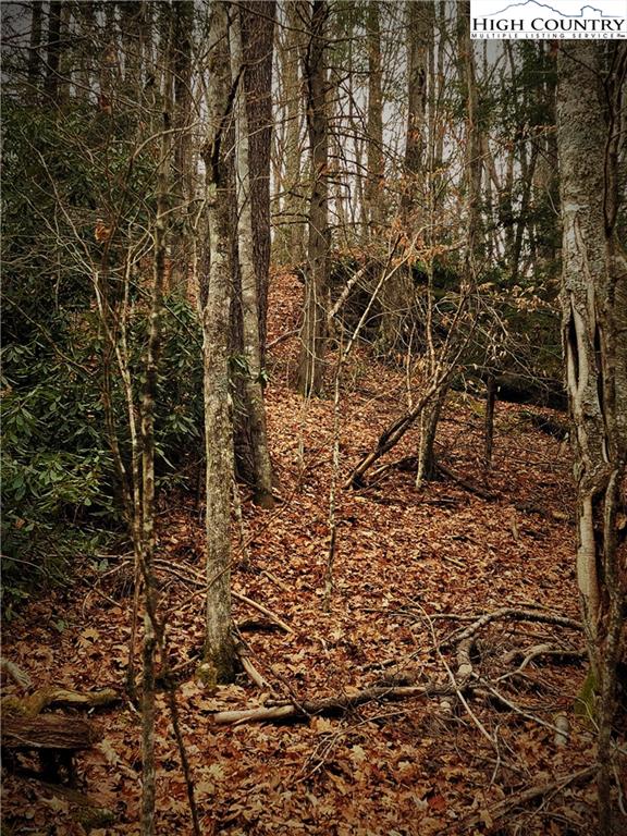 0 Worley Road Banner Elk, NC 28604 - Photo 5 of 21 Gallery Image 5