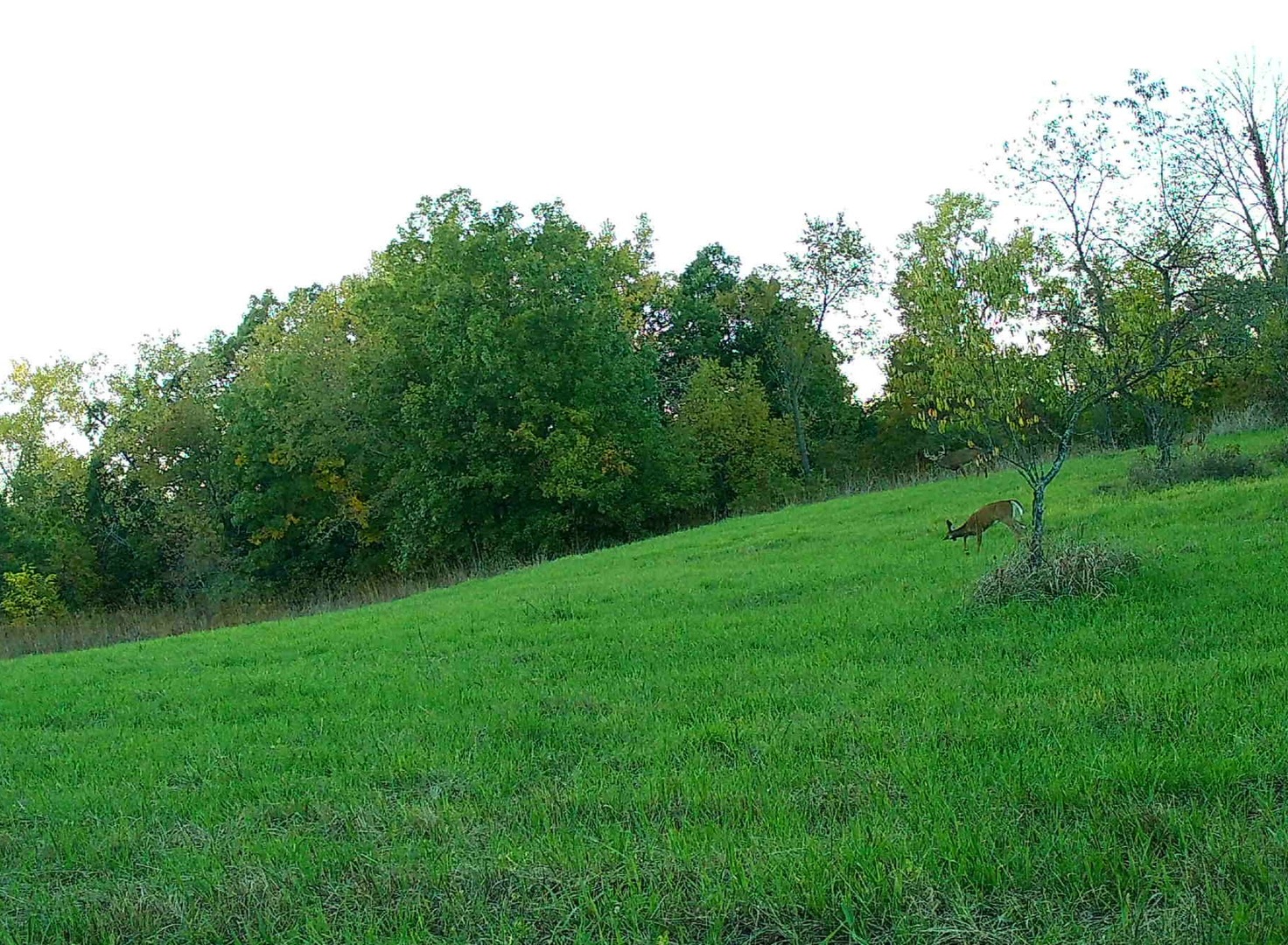 618 Princeton Road Depue, IL 61322 - Photo 13 of 22 Gallery Image 13