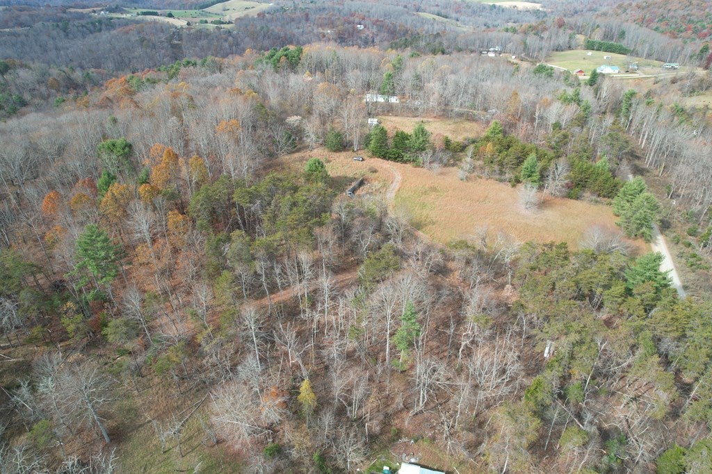 357 Bertha Farms Road Barren Springs, VA 24313 - Photo 12 of 30 Gallery Image 12