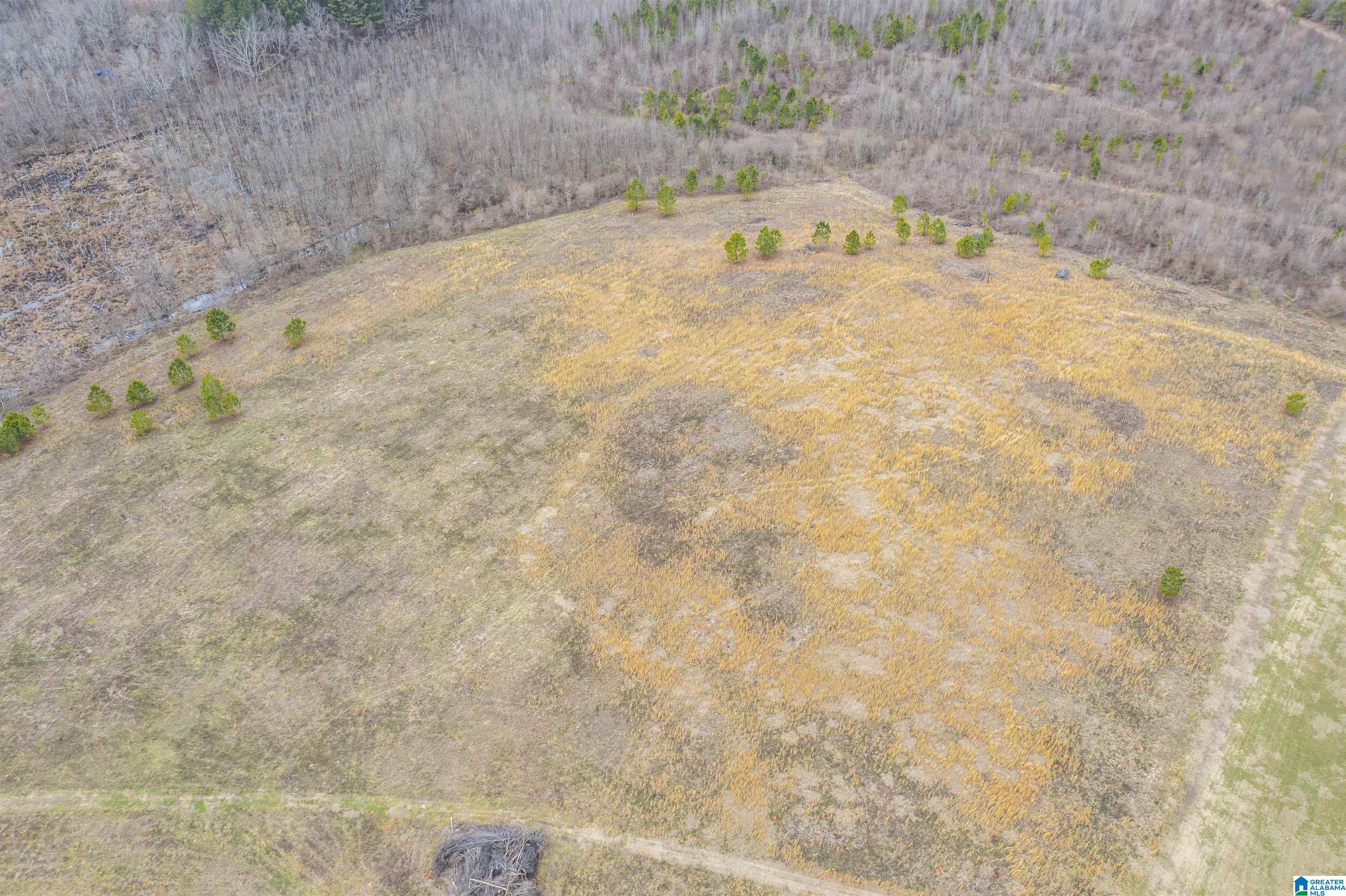 1619 Old Downing Ml Road, Unit 40 03 ACRES Anniston, AL 36207 - Photo 19 of 29